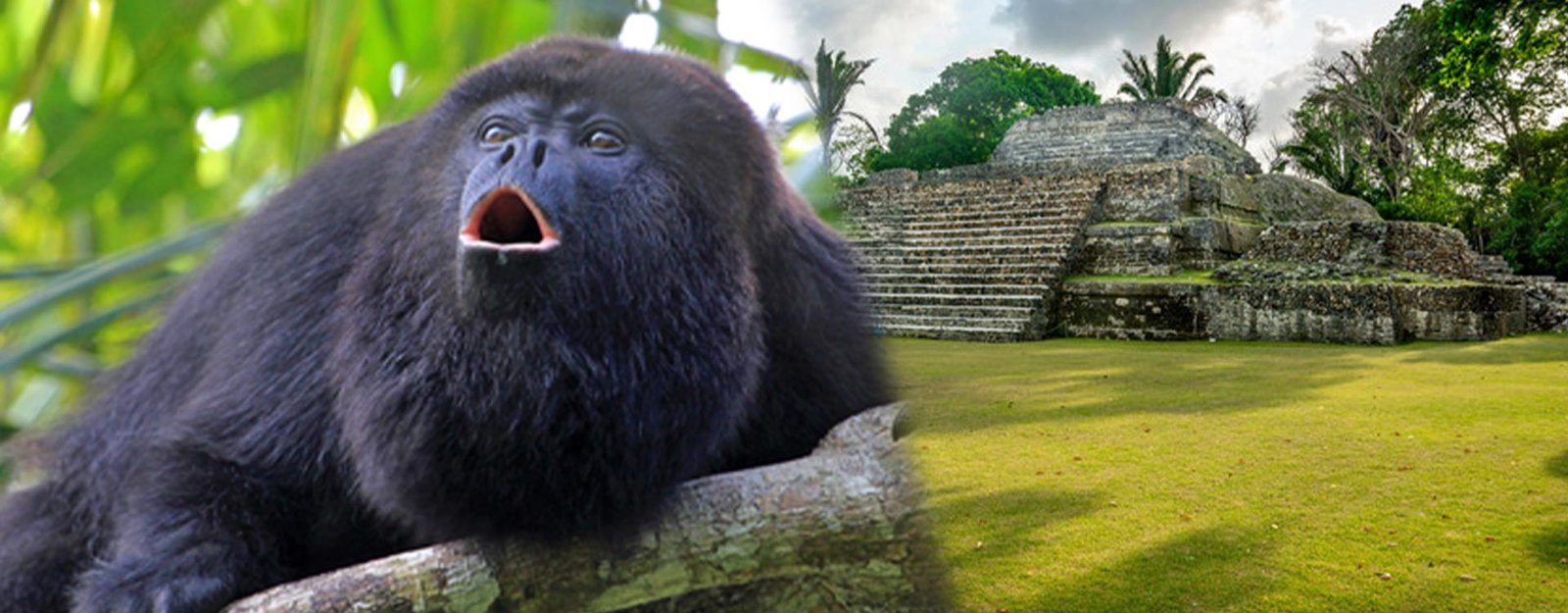 Altun ha and Belize Baboon Sanctuary  Excursion
